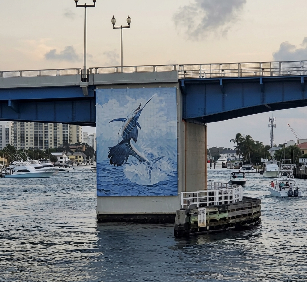 Sailfish Las Olas Bridge