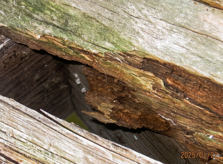 Poor Inspection and Maintenance